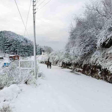 La Riqueza Dhanolti View # Near To Eco Park & Surkanda Devi Temple # Mountain View Rooms With Balcony # Big Parking # Customer Favourite Hotel دانولتي المظهر الخارجي الصورة