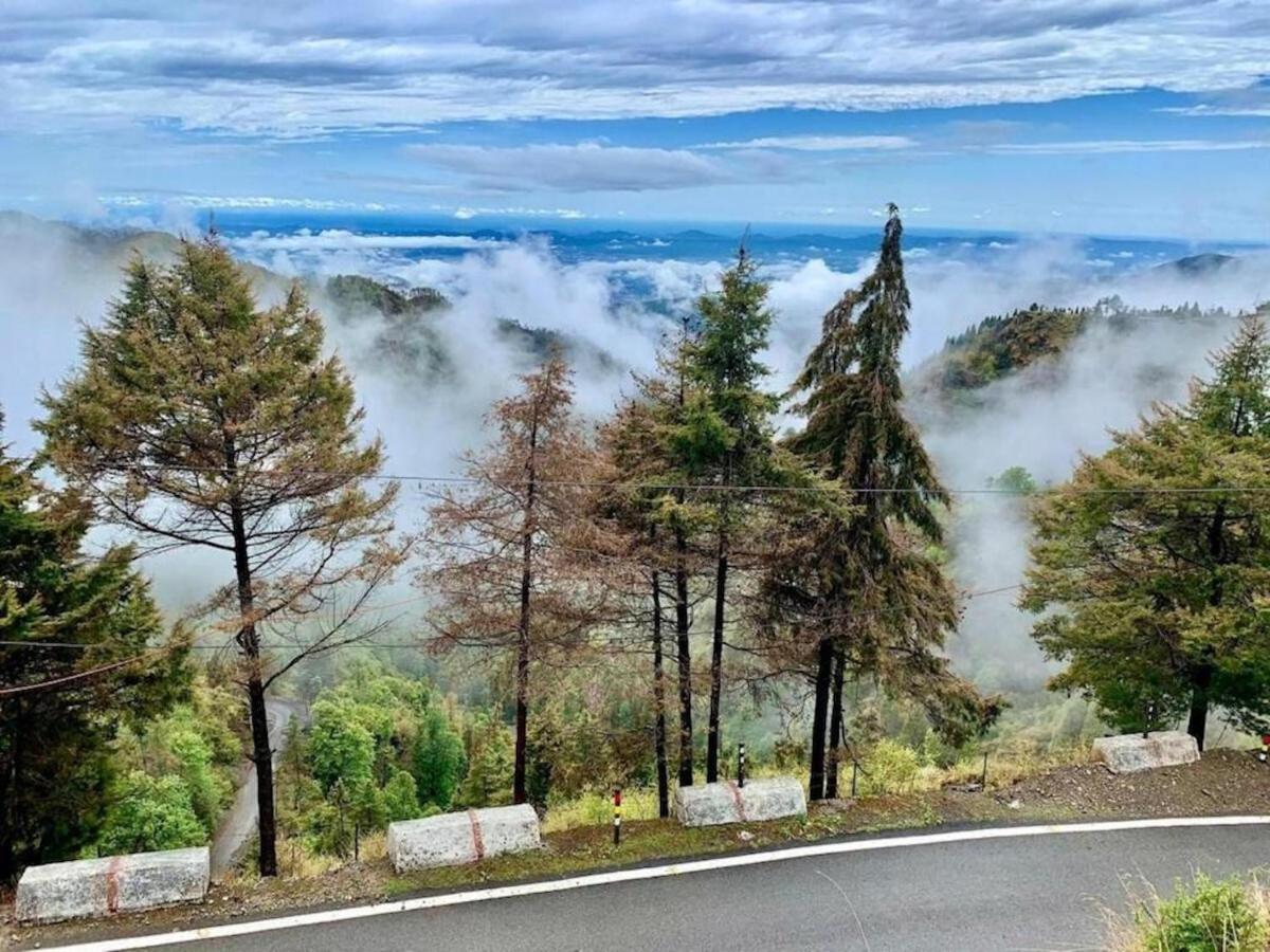 La Riqueza Dhanolti View # Near To Eco Park & Surkanda Devi Temple # Mountain View Rooms With Balcony # Big Parking # Customer Favourite Hotel دانولتي المظهر الخارجي الصورة