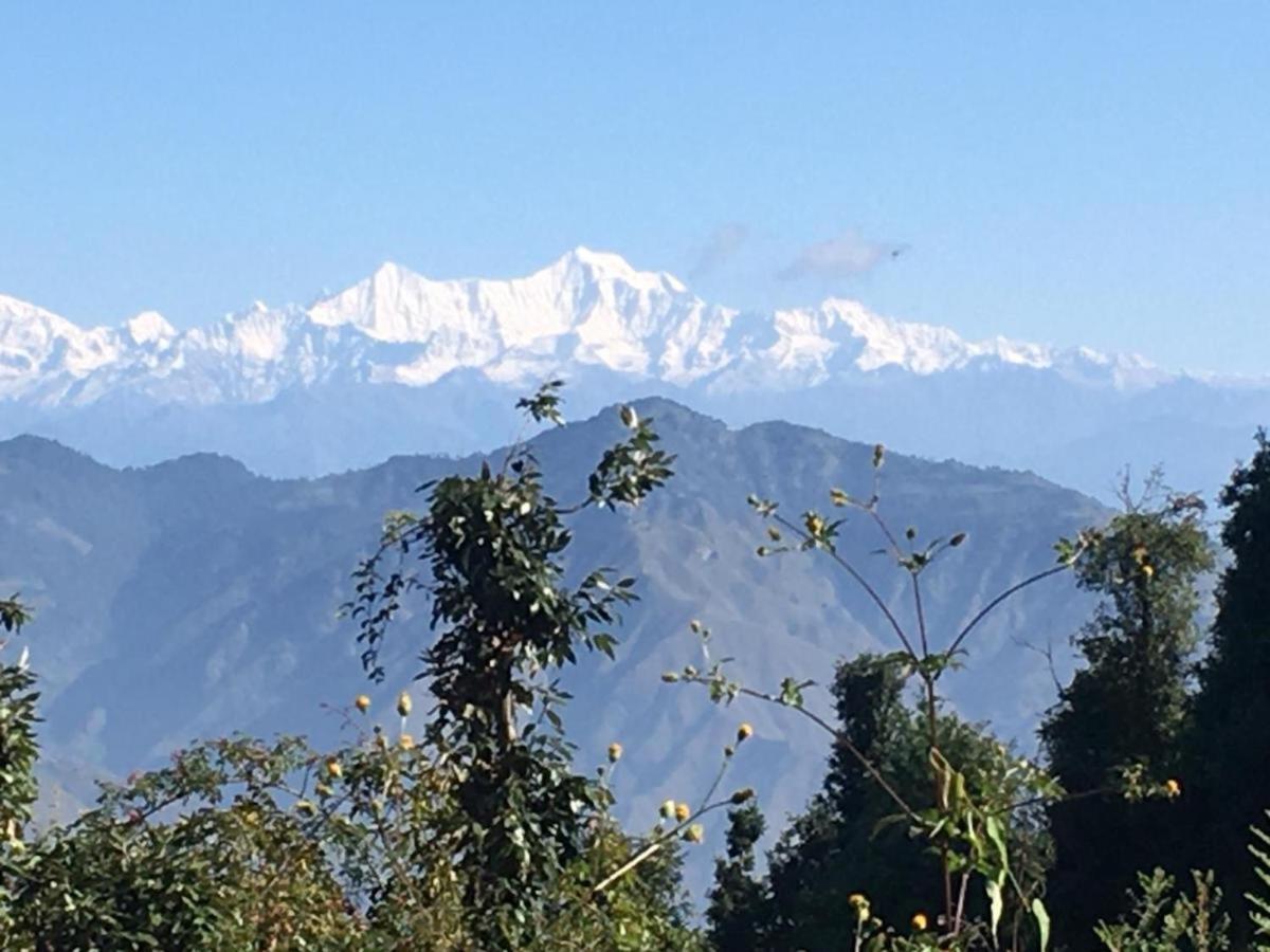 La Riqueza Dhanolti View # Near To Eco Park & Surkanda Devi Temple # Mountain View Rooms With Balcony # Big Parking # Customer Favourite Hotel دانولتي المظهر الخارجي الصورة
