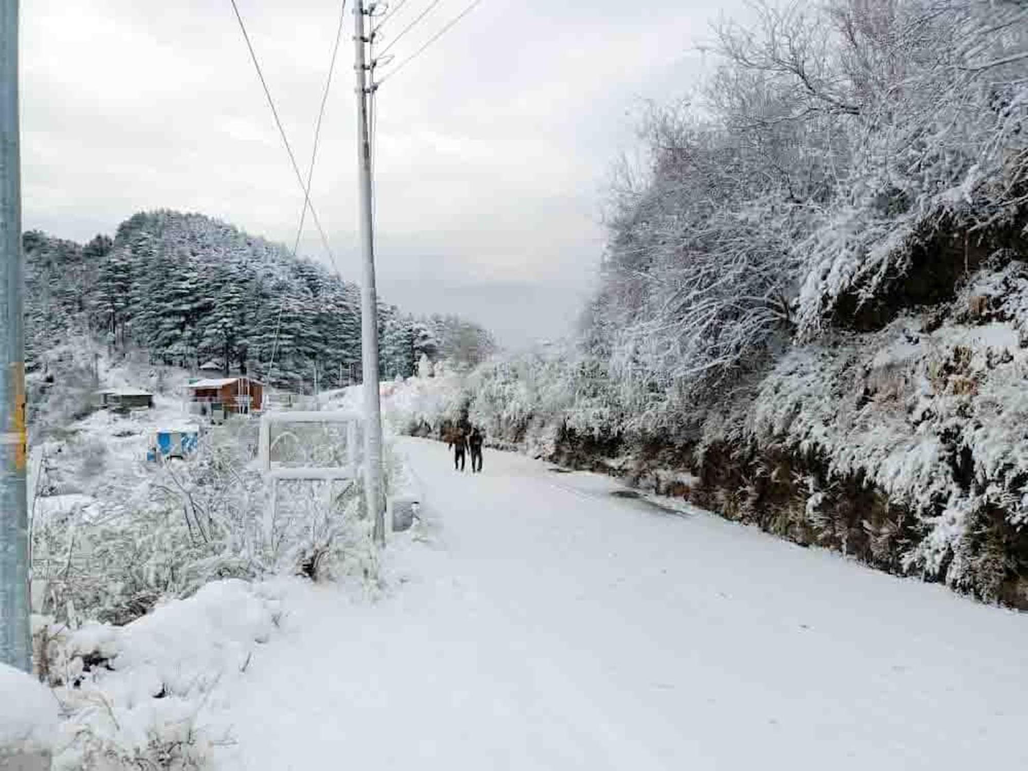 La Riqueza Dhanolti View # Near To Eco Park & Surkanda Devi Temple # Mountain View Rooms With Balcony # Big Parking # Customer Favourite Hotel دانولتي المظهر الخارجي الصورة