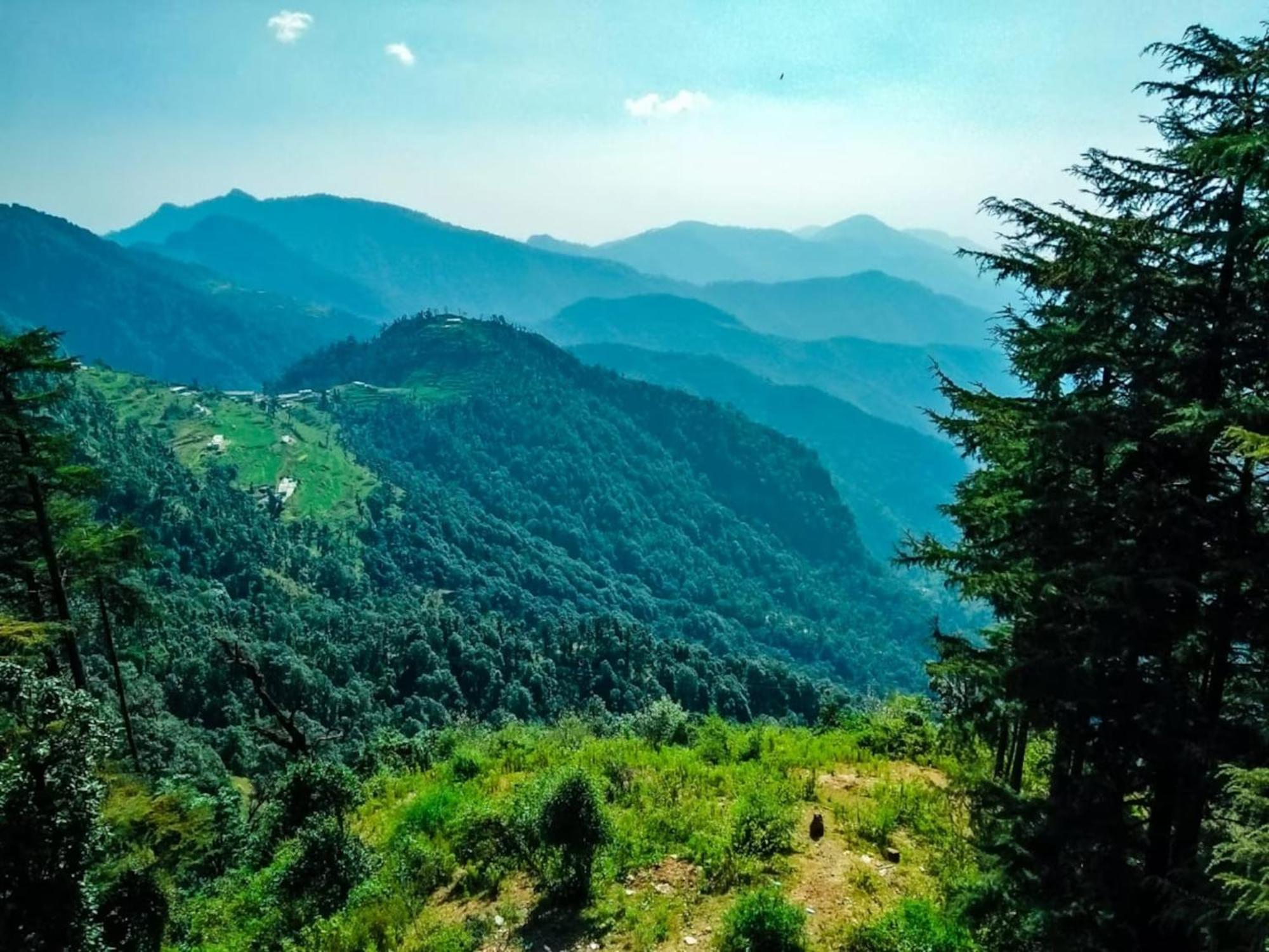 La Riqueza Dhanolti View # Near To Eco Park & Surkanda Devi Temple # Mountain View Rooms With Balcony # Big Parking # Customer Favourite Hotel دانولتي المظهر الخارجي الصورة